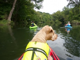 Kayaking 2014